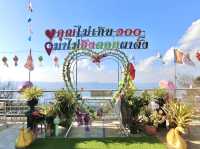 ชมซากุระ ดอยผาตั้ง