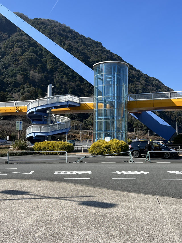 大分　🩵水族館🦭🐬