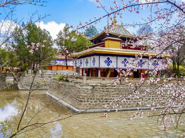 The Sacred Potala Palace: Tibet's Most Revered Landmark