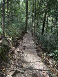 布里斯本 近郊森林瀑布Buderim Forest Park玩水 + 陽光海岸Sunshine Coast (老人版黃金海岸)一日遊