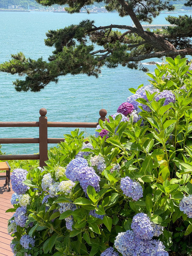 통영 여행코스 추천 이순신 공원🌿🤍