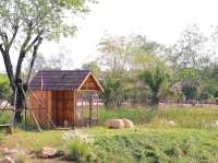คาเฟ่ริมน้ำ หอมดิน กลิ่นจันทร์