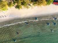 Beach Club สุดชิค เปิดใหม่ ริมหาดป่าตอง ภูเก็ต