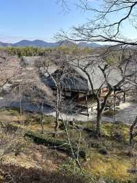 Kyoto 🇯🇵: Temples, Culture, Historical and Timeless