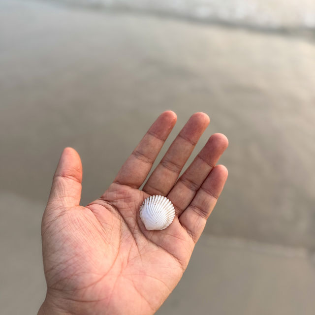 “หาดนางรอง” #สัตหีบ จุดเช็คอินชายหาดใกล้กรุงฯ 🌊🏝️