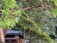 張學良文化園區