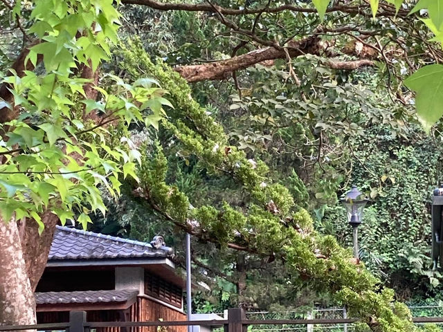 張學良文化園區