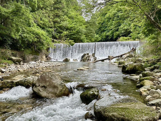 岐阜🇯🇵清流長良川あゆパーク