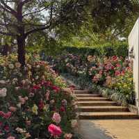 Fleur Cafe & Eatery • Mae Rim, Chiang Mai