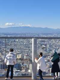 東京高229米的展望台