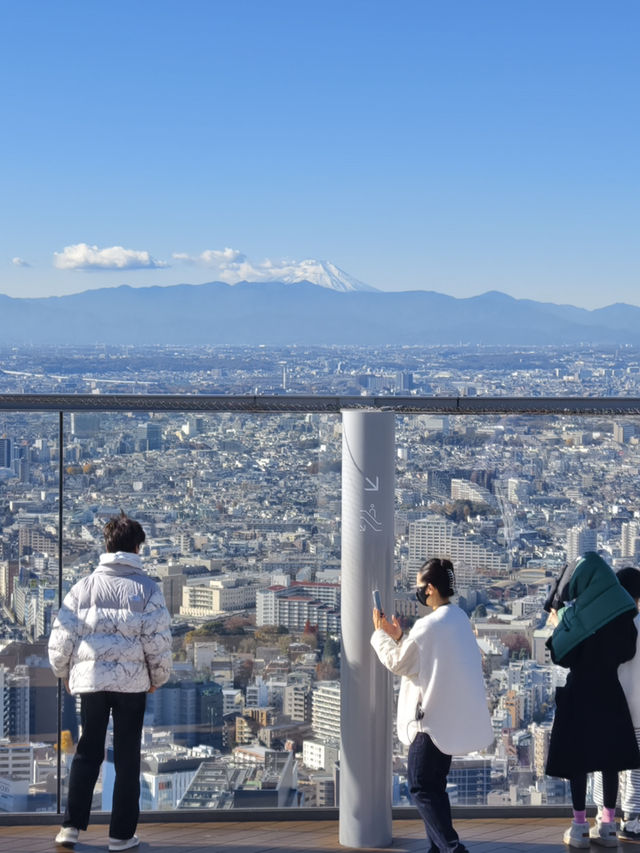 東京高229米的展望台