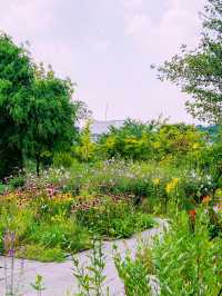 Guro Pureun Arboretum Review