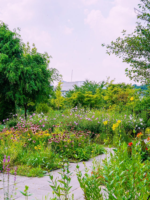 Guro Pureun Arboretum Review