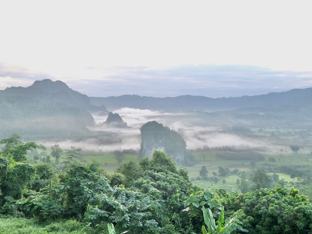 ชิดลมชมหมอก ที่พักวิวสุดอลังการที่ผาช้างน้อย🌤️⛰️