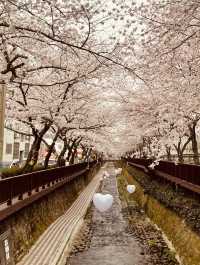 The Perfect Spot for Spring Photography!