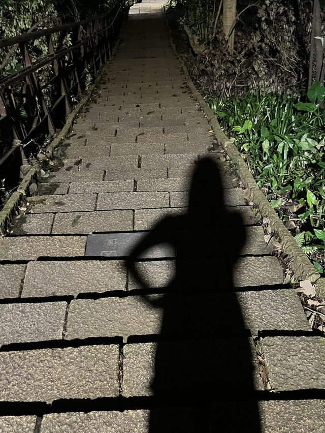 대만 타이베이의 야경 명소 중 제일 예쁜 샹산공원 💖