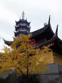 Discover unique mix of Ancient Herotage and Urban Architecture of Nanjing