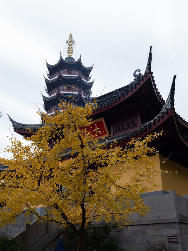 Discover unique mix of Ancient Herotage and Urban Architecture of Nanjing