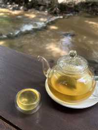 รีวิว คาเฟ่บ้านธารชีวี แม่แมะ เชียงใหม่ 🍃