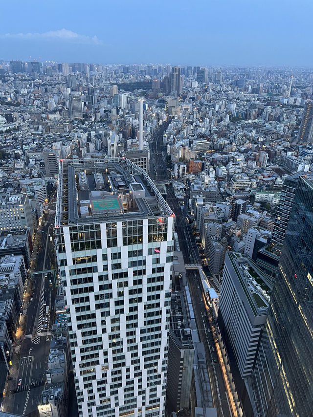 Springtime in Tokyo: Shibuya Sky💐