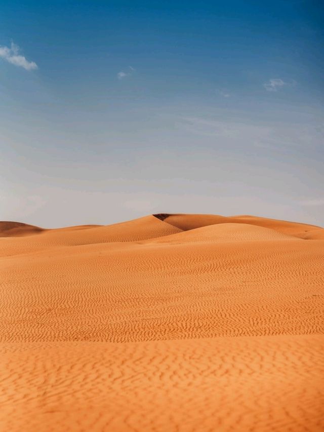 Day Trip to Sharqiya Sands or Previously Wahiba Sands!