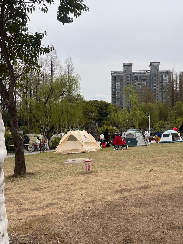 상하이 튤립 볼 수 있는 곳