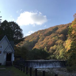 白神山地 (Shirakami Sanchi, Aomori & Akita) – 원시림이 펼쳐진 세계유산의 숲