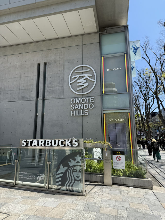 Spring Stroll in Blooming Omotesando🌷