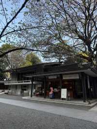 Spring Outing at Nogizaka Shrine – A Hidden Sakura Haven
