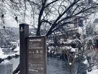 銀白世界的忍野八海