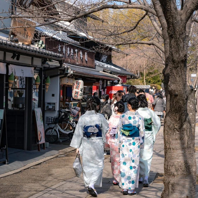 Arashiyama 🌿🍵