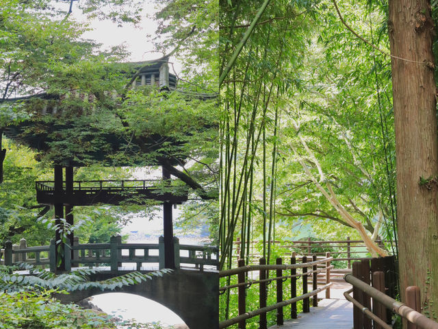 🌿 구례 천은사, 지리산 품에 안긴 고요한 쉼터
