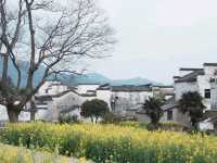 9D8N in China to discover the beauty of cities to mountains