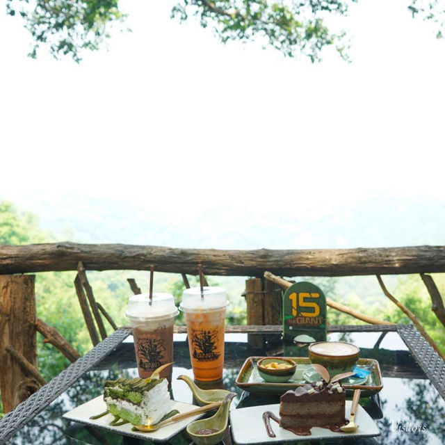 คาเฟ่บนต้นไม้ยักษ์ เชียงใหม่ The Giant คาเฟ่บนต้นไม้ยักษ์ เชียงใหม่ The Giant