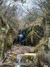Hongfo Temple: A Sanctuary for Serenity and Scenic Trails