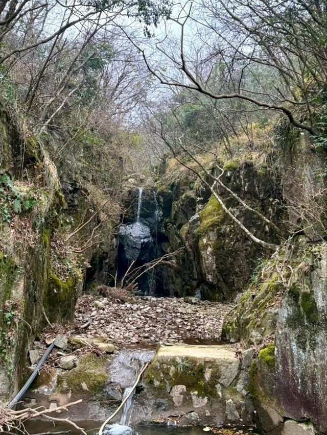 Hongfo Temple: A Sanctuary for Serenity and Scenic Trails