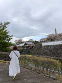 春のごほうび。桜に包まれる甲府城跡でのひととき
