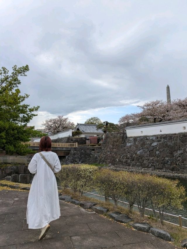 春のごほうび。桜に包まれる甲府城跡でのひととき