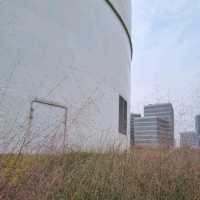 Pink muhly at Shanghai Youguan arts center