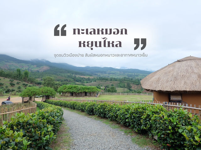ชมวิวเมืองปาย สัมผัสทะเลหมอกหยุนไหล 🌿