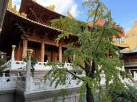 Golden Tranquility Amid Skyscrapers: Discovering Jing’an Temple