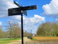 Experience the Best of London in Hyde Park's Scenic Surroundings