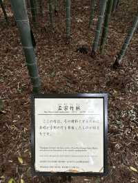 日本三名園　偕楽園