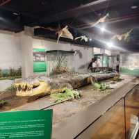 A Journey Through Nature: National Museum of Natural History 