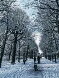 From Klimt to Christmas Lights: Vienna’s Winter Charm in 72 Hours