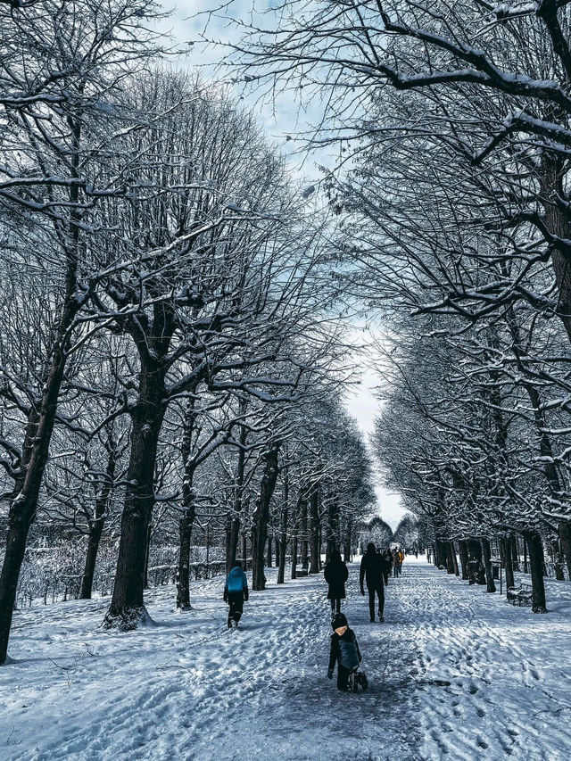 From Klimt to Christmas Lights: Vienna’s Winter Charm in 72 Hours