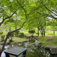 石神井公園 | 寧靜中的綠意