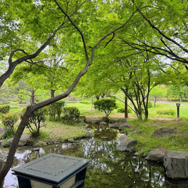 石神井公園 | 寧靜中的綠意
