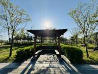 Play, Pets & Plants—Pyeongtaek Fun!