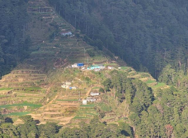Rise to New Heights at Mount Olis: Soaring 7,900 Feet Above Sea Level!